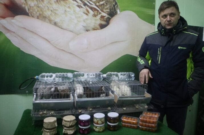 Пущинское фермерское хозяйство стало одним из крупнейших производителей яиц в Подмосковье Новости Пущино 